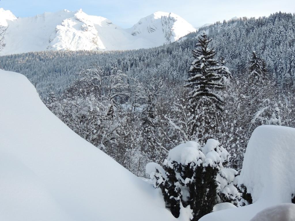 La Duche 101 Apartment Le Grand-Bornand Cameră foto